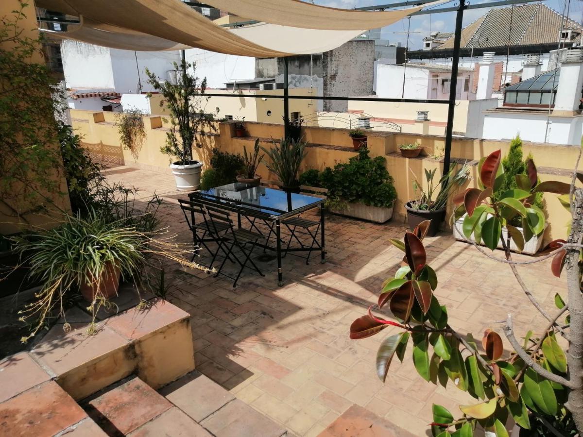 Appartement Tourist House Trajano Terraza-piscina *